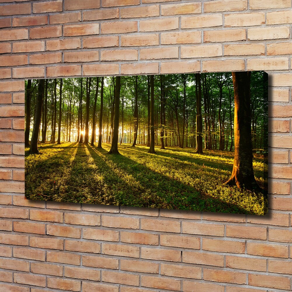 Canvas wall art Rays of the sun