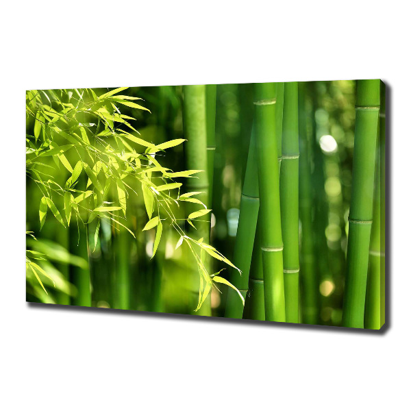 Canvas wall art Bamboo