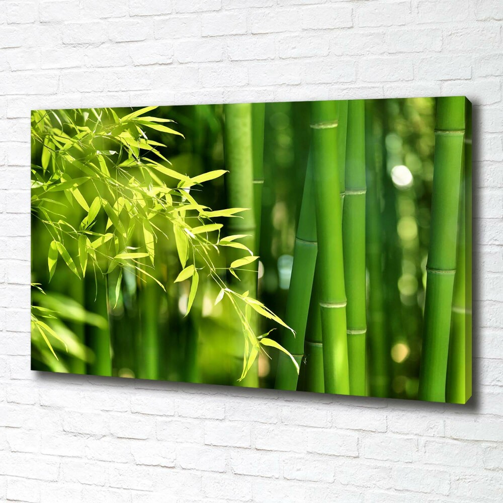 Canvas wall art Bamboo