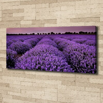 Canvas wall art Lavender field