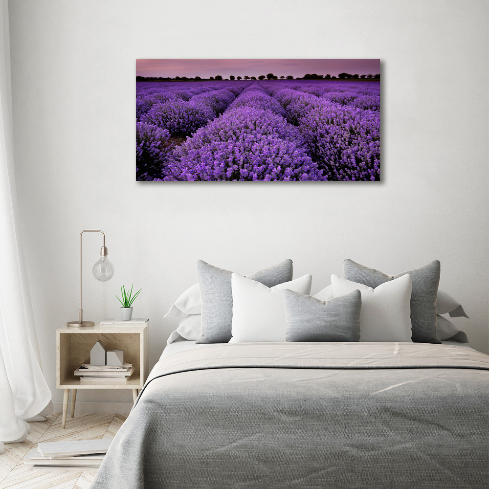 Canvas wall art Lavender field