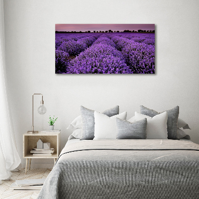 Canvas wall art Lavender field