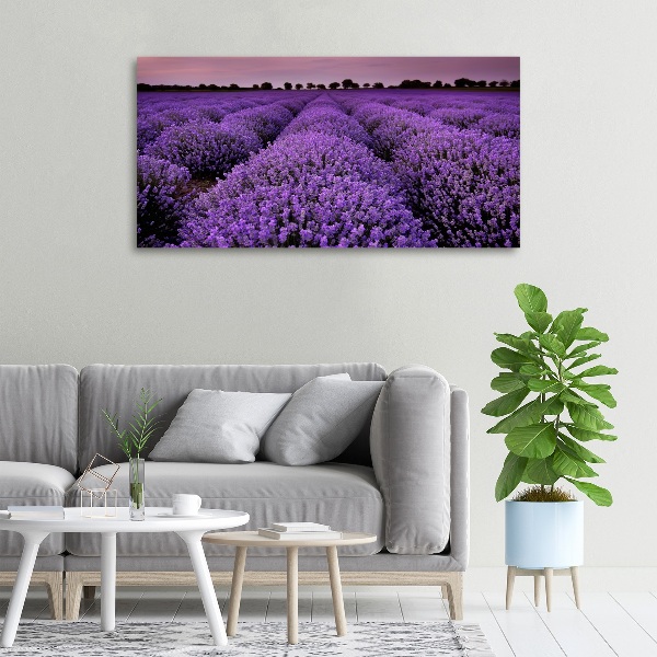 Canvas wall art Lavender field