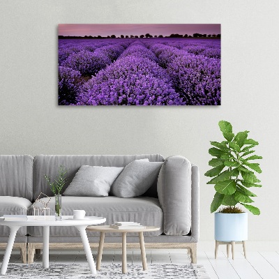 Canvas wall art Lavender field