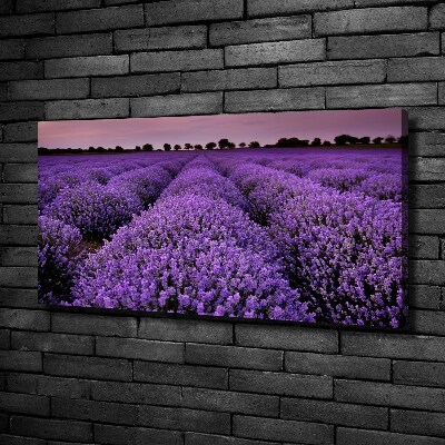 Canvas wall art Lavender field