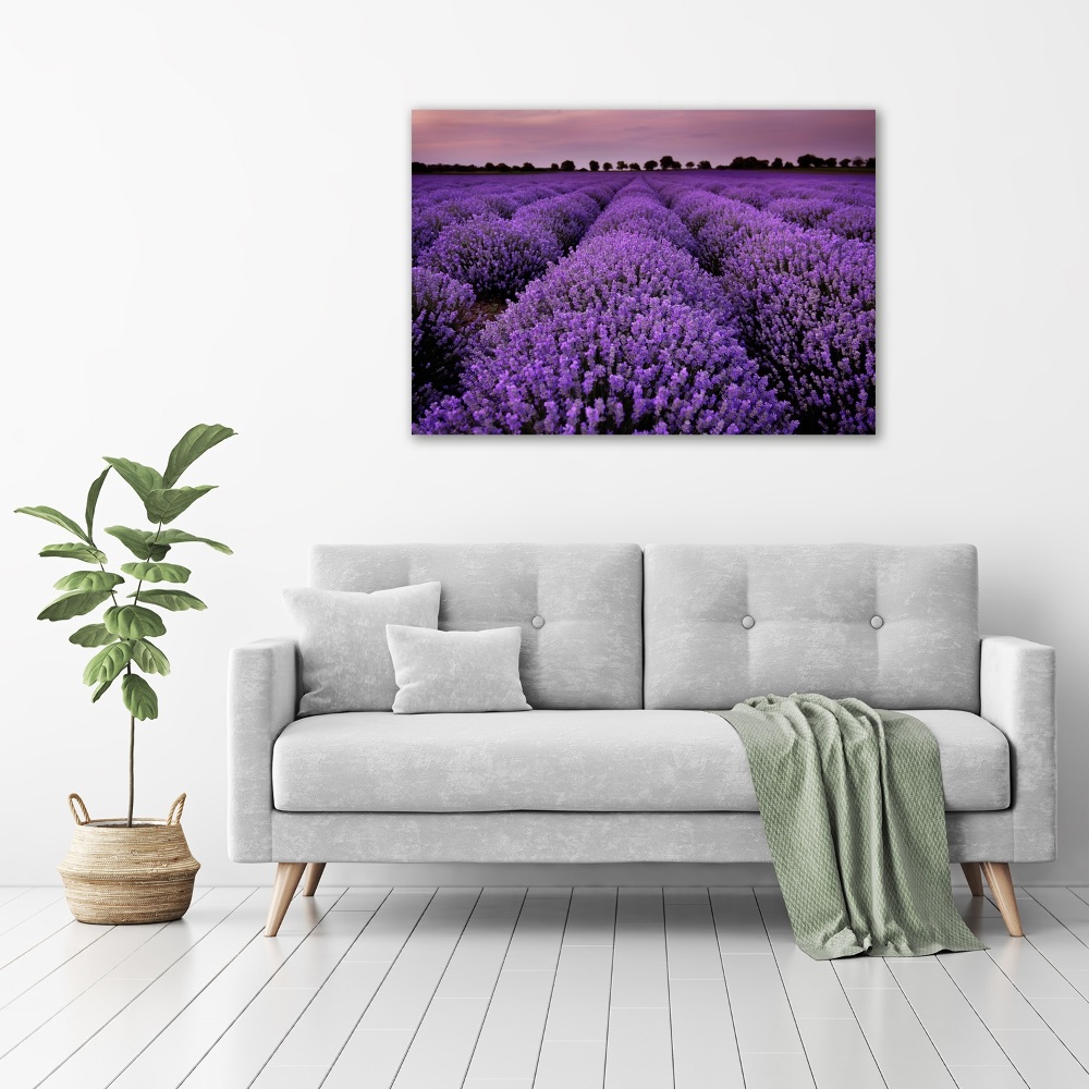 Canvas wall art Lavender field