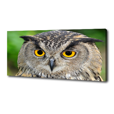 Large canvas wall art Owl