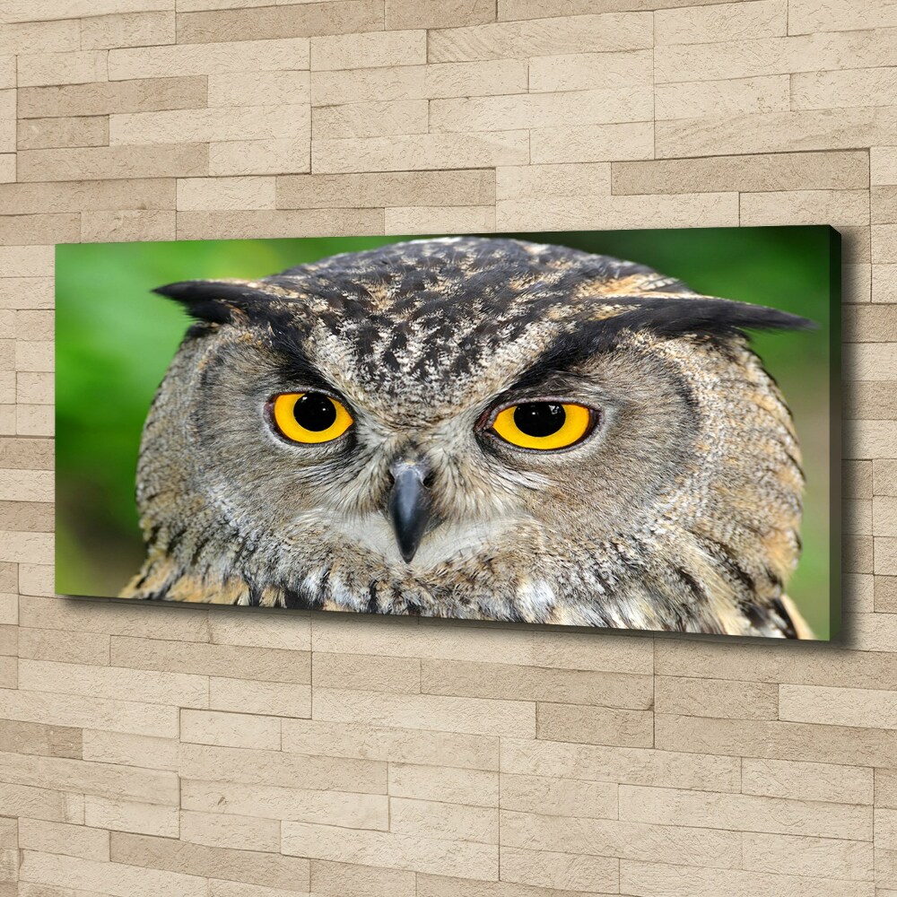 Large canvas wall art Owl