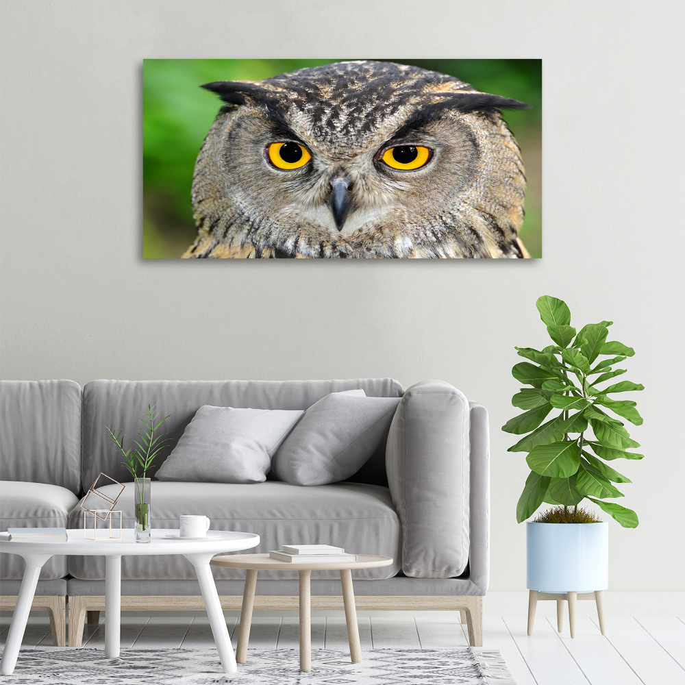 Large canvas wall art Owl