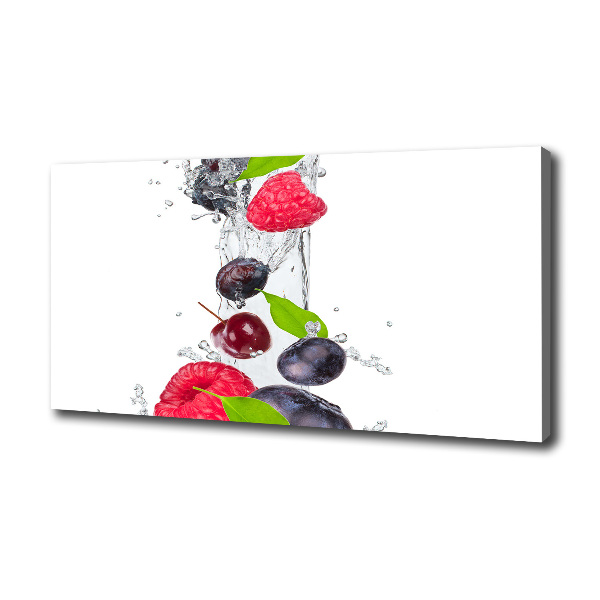 Canvas wall art Fruit and water