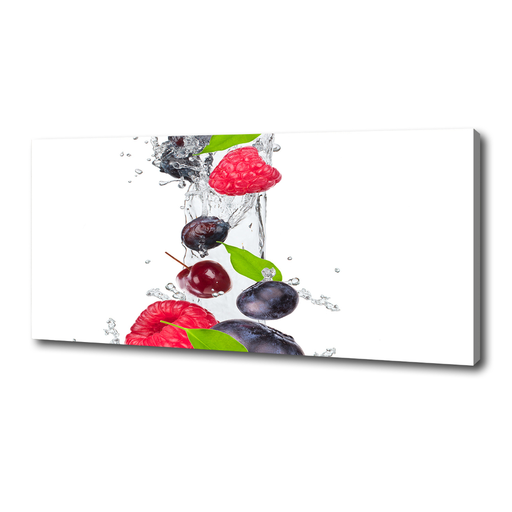 Canvas wall art Fruit and water