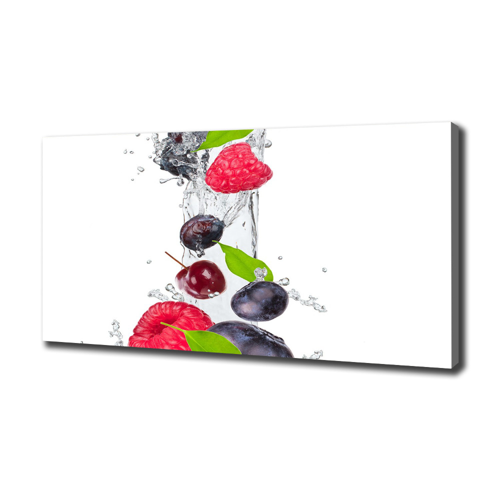 Canvas wall art Fruit and water