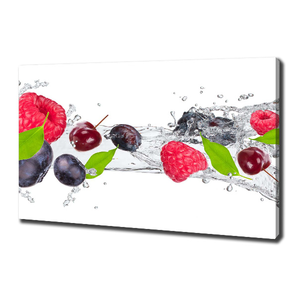 Canvas wall art Fruit and water