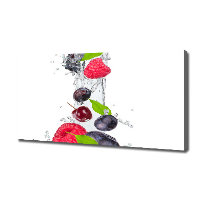 Canvas wall art Fruit and water