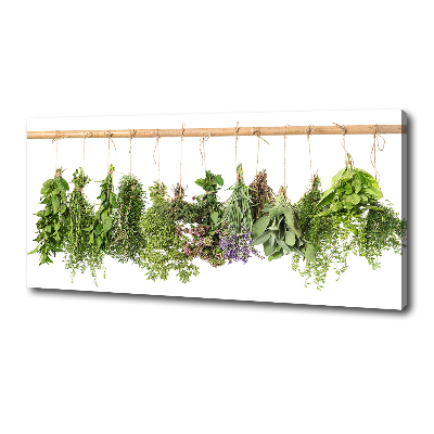 Canvas wall art Herbs on a string