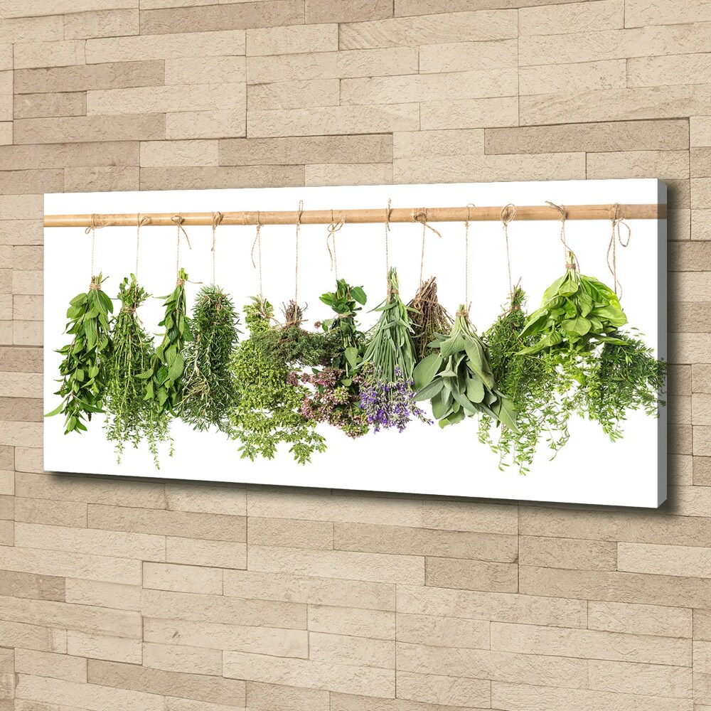 Canvas wall art Herbs on a string