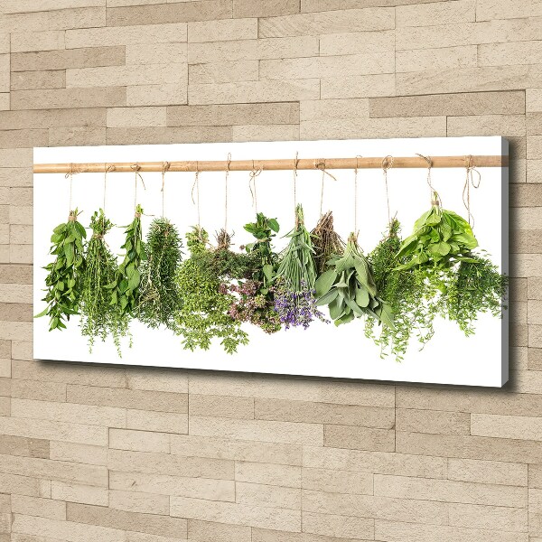 Canvas wall art Herbs on a string