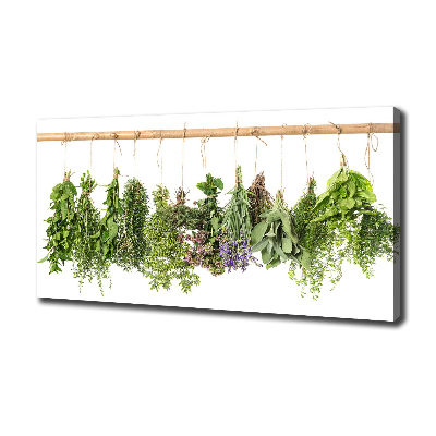 Canvas wall art Herbs on a string