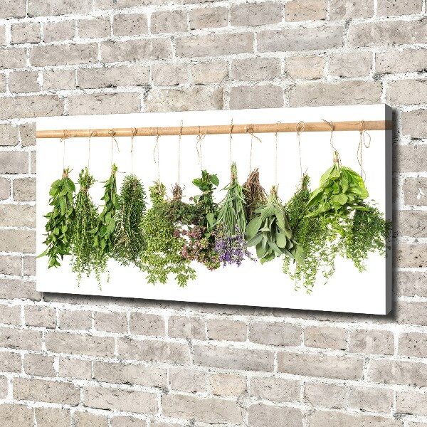 Canvas wall art Herbs on a string