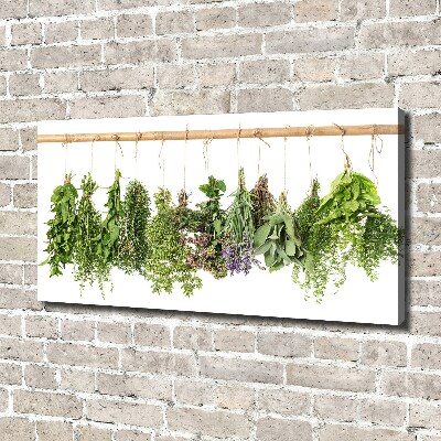 Canvas wall art Herbs on a string