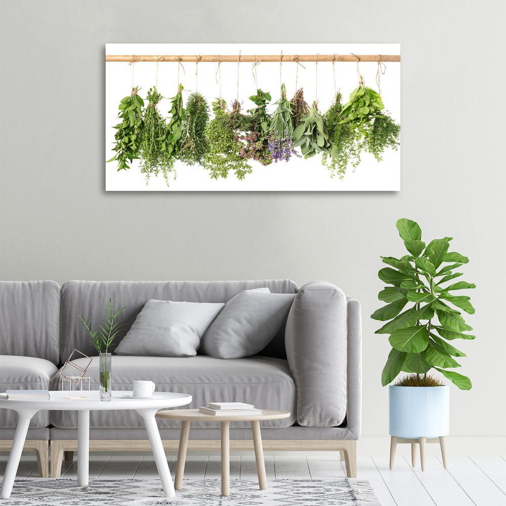 Canvas wall art Herbs on a string