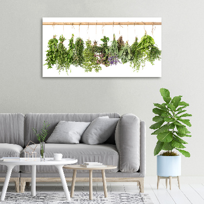 Canvas wall art Herbs on a string