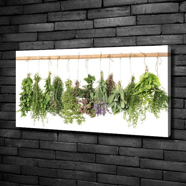 Canvas wall art Herbs on a string