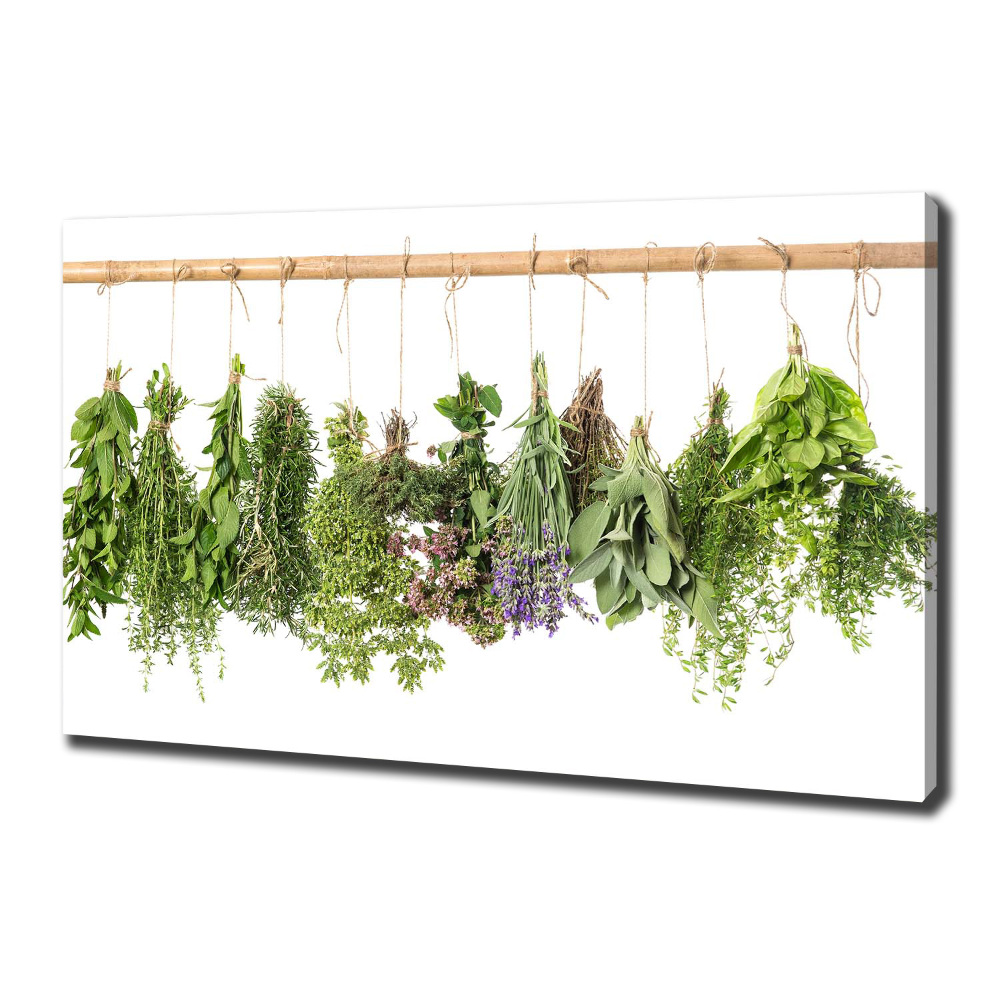 Canvas wall art Herbs on a string