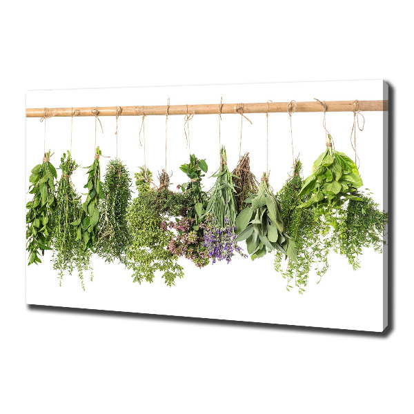 Canvas wall art Herbs on a string