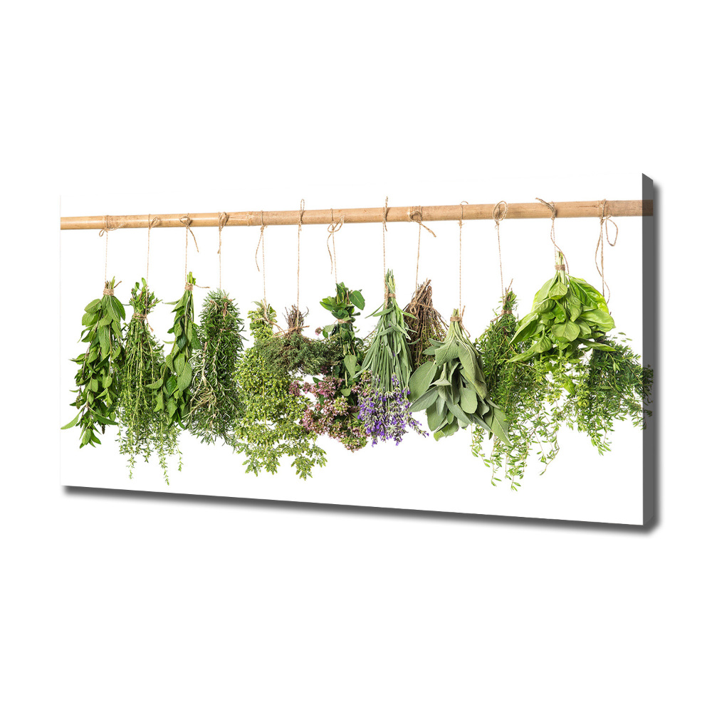 Canvas wall art Herbs on a string