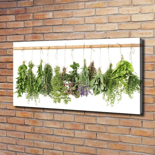 Canvas wall art Herbs on a string