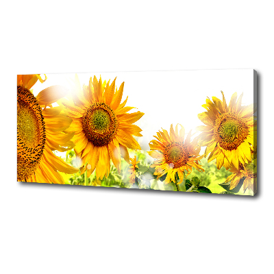 Canvas wall art Sunflowers