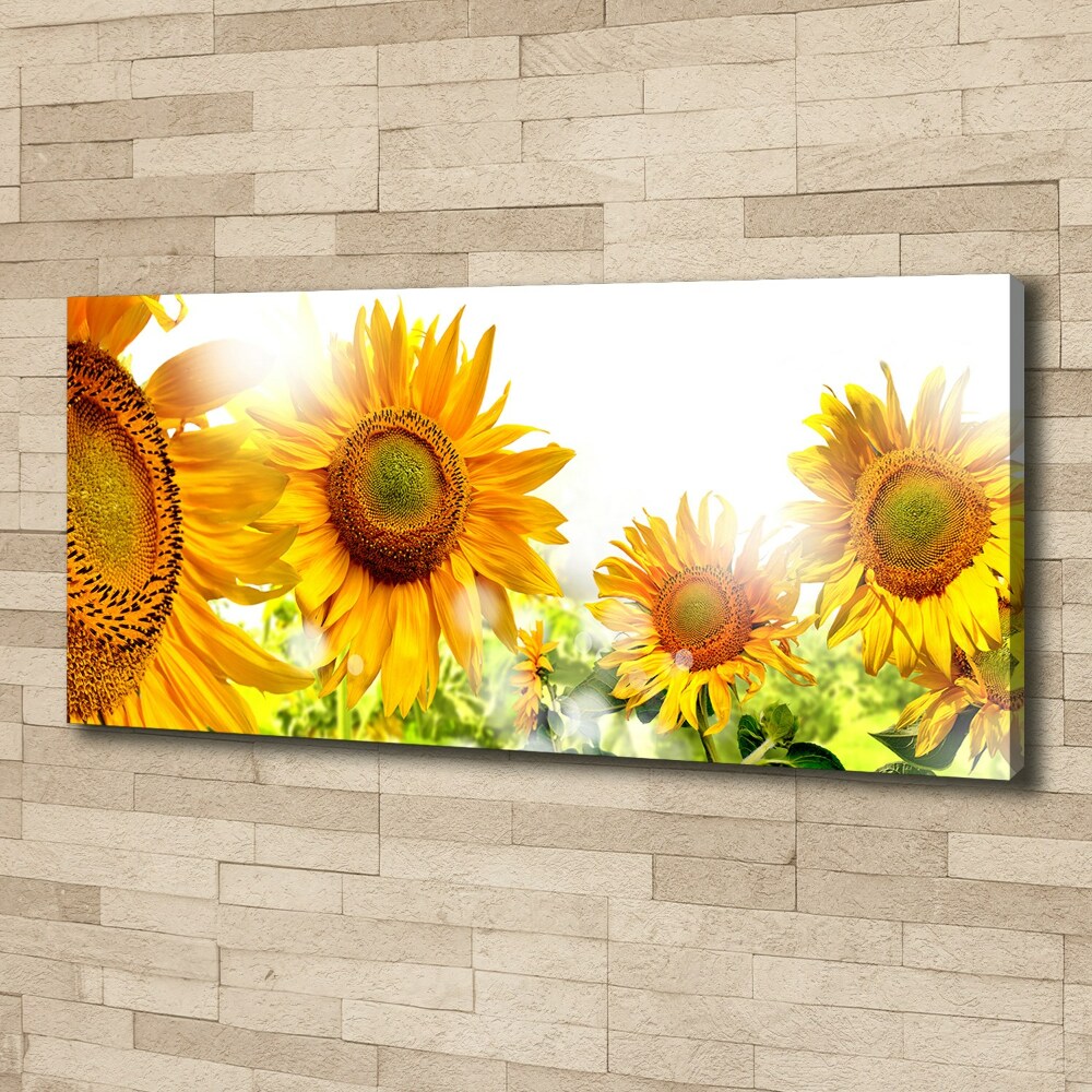 Canvas wall art Sunflowers