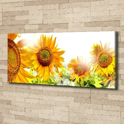 Canvas wall art Sunflowers