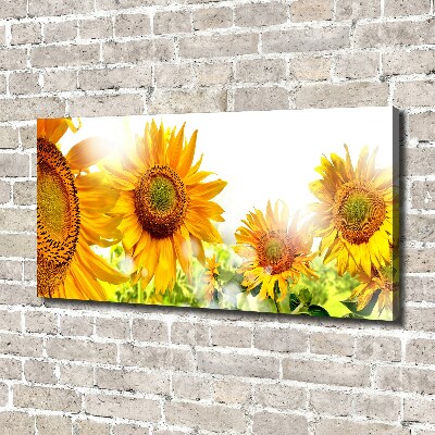 Canvas wall art Sunflowers