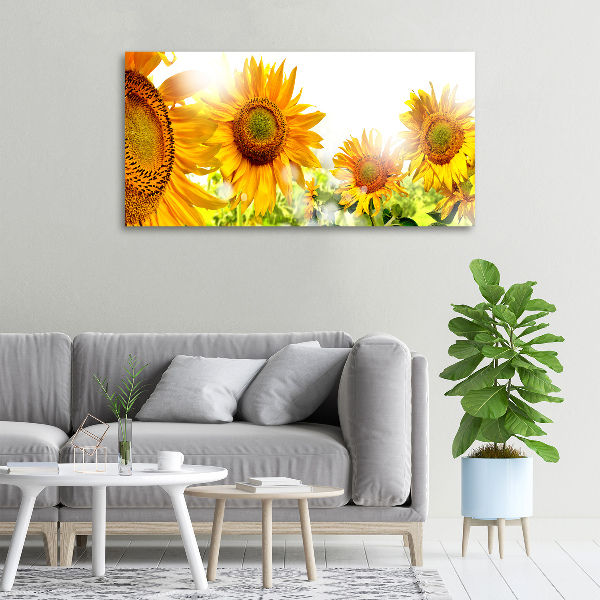 Canvas wall art Sunflowers