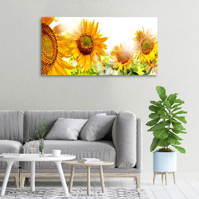 Canvas wall art Sunflowers