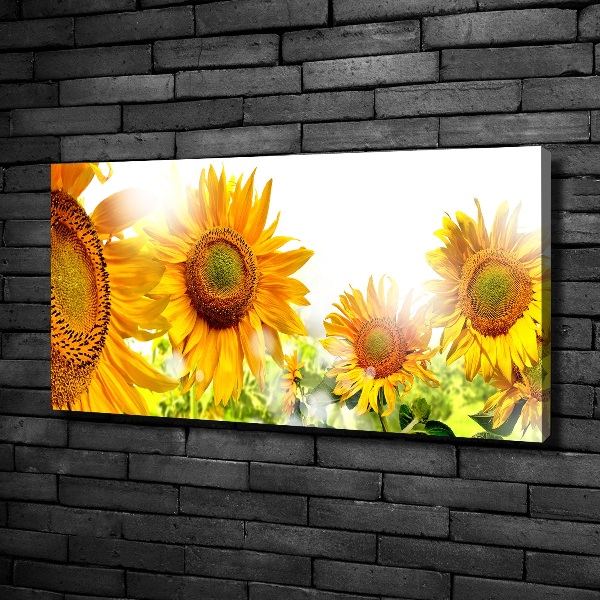 Canvas wall art Sunflowers