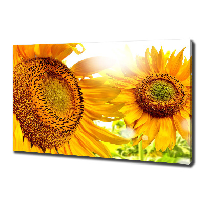 Canvas wall art Sunflowers