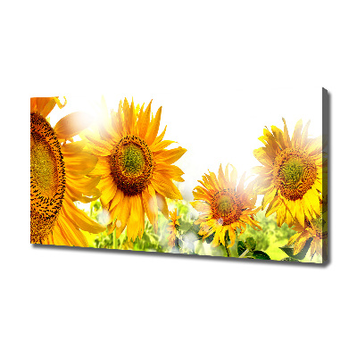 Canvas wall art Sunflowers