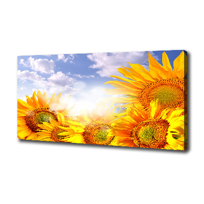 Canvas wall art Sunflowers