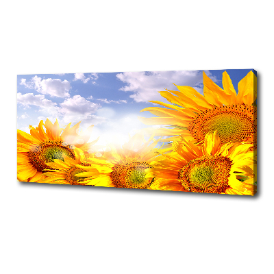 Canvas wall art Sunflowers