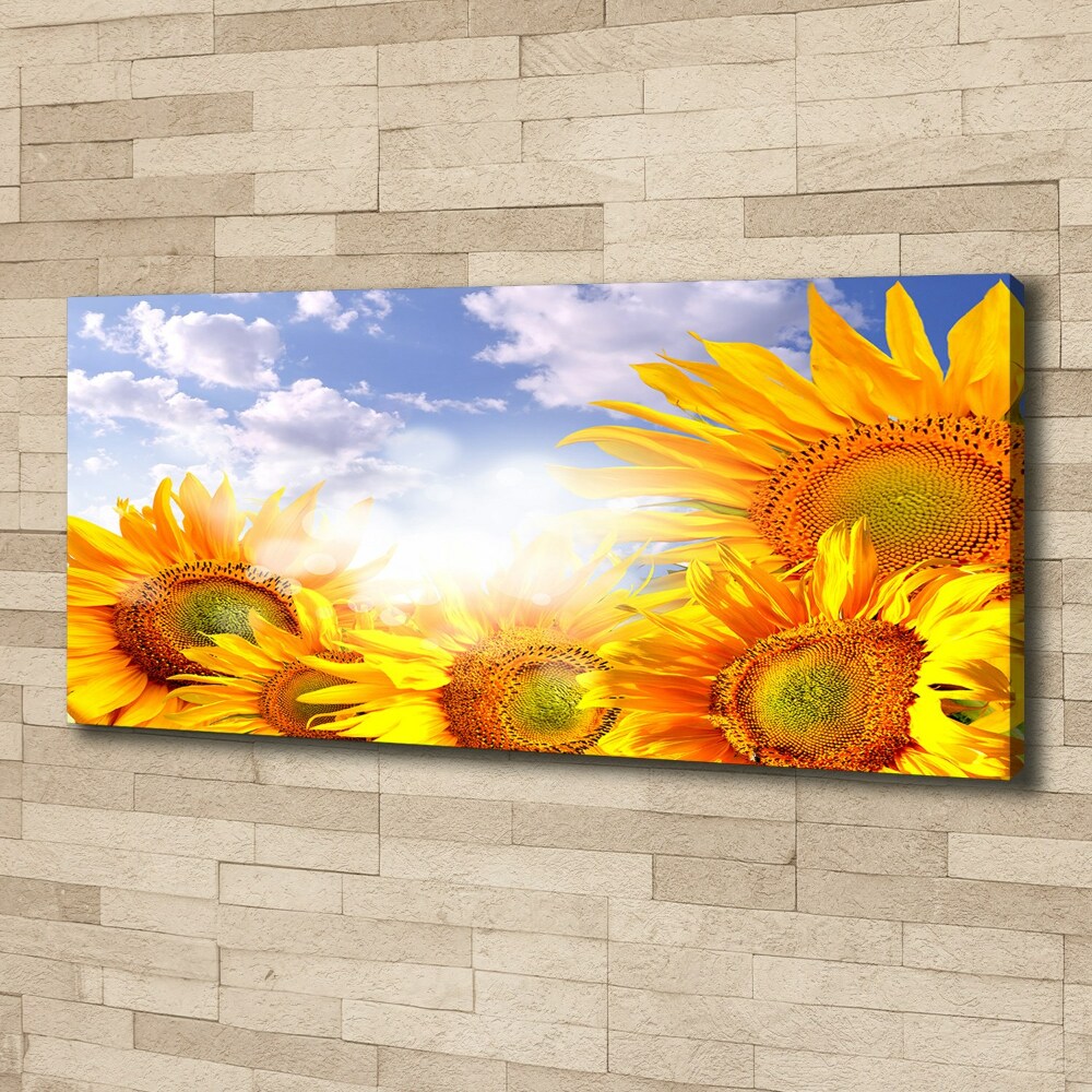 Canvas wall art Sunflowers