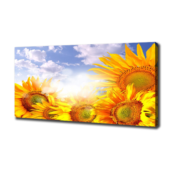 Canvas wall art Sunflowers