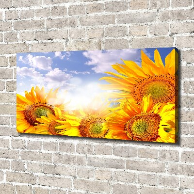 Canvas wall art Sunflowers