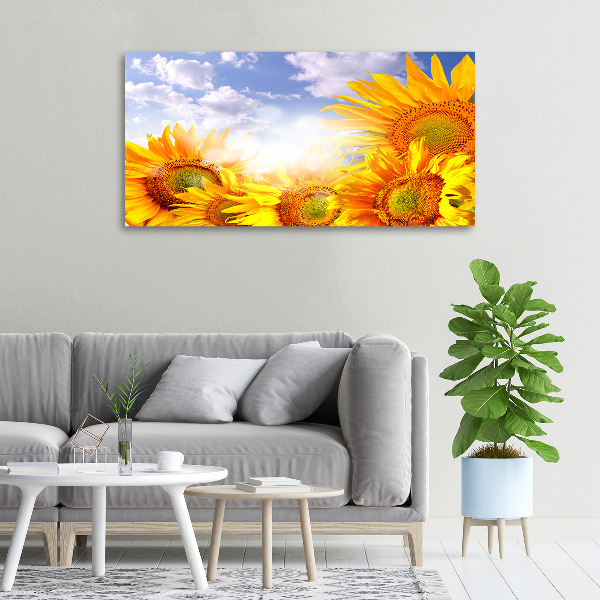 Canvas wall art Sunflowers