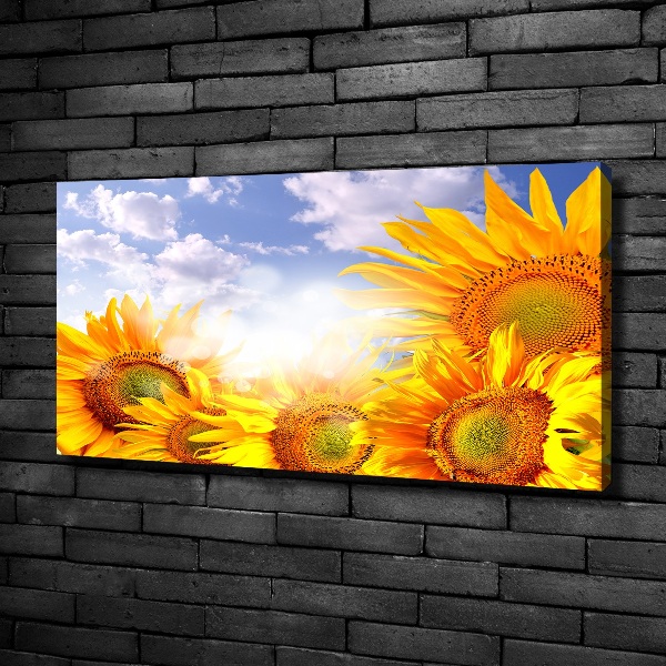 Canvas wall art Sunflowers