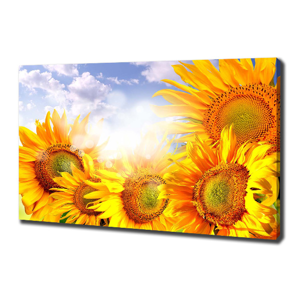 Canvas wall art Sunflowers