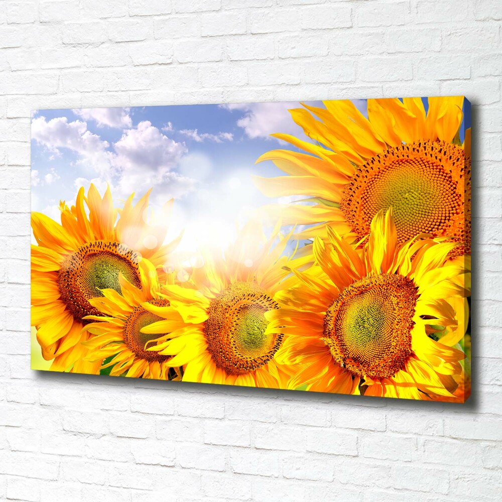 Canvas wall art Sunflowers