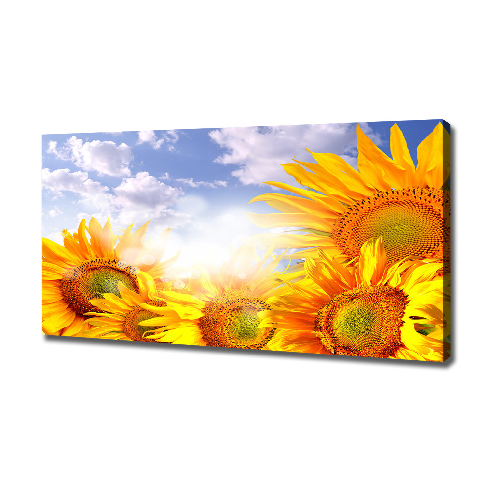 Canvas wall art Sunflowers